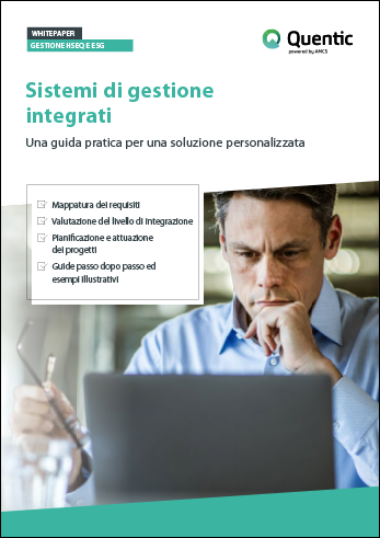 Sistemi di Gestione Integrati